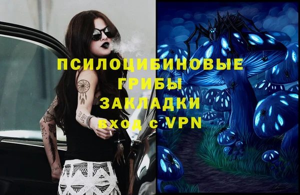 марихуана Гусиноозёрск