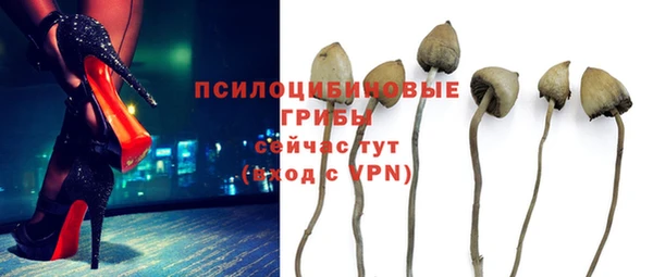марихуана Гусиноозёрск