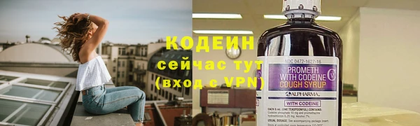 не бодяженный Гусев