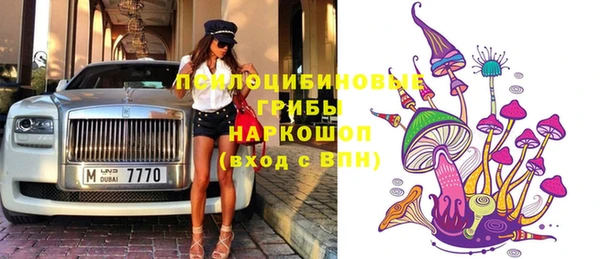 не бодяженный Гусев