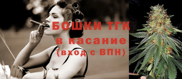 не бодяженный Гусев