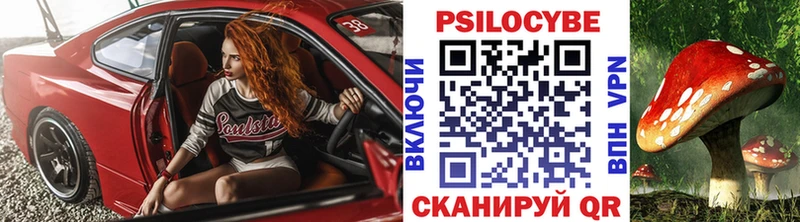 Купить где  Сальск  Псилоцибиновые грибы прущие грибы 